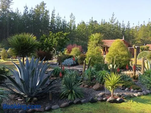 Eco Cabañas Algarrobo - Image 1