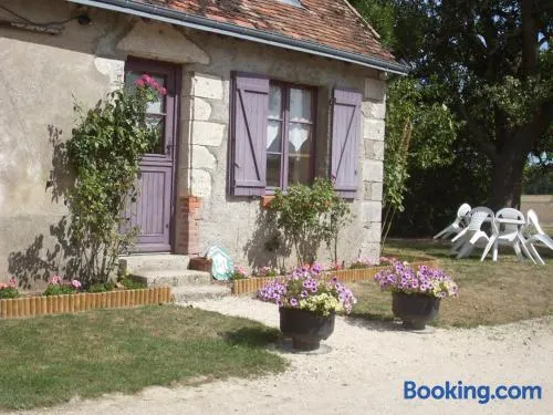 Gîte rustique avec cheminée à Saint-Lubin-en-Vergonnois, animaux acceptés - Image 1
