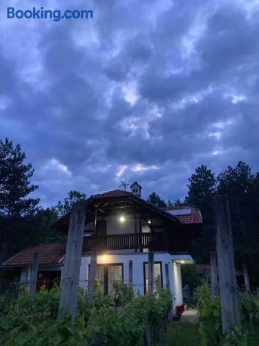 Vila Borjak - Image 1