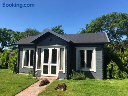 Modern Summerhouse - Image 1