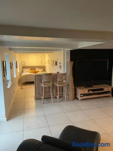 Large cozy living room with bedroom, bathroom - Image 1