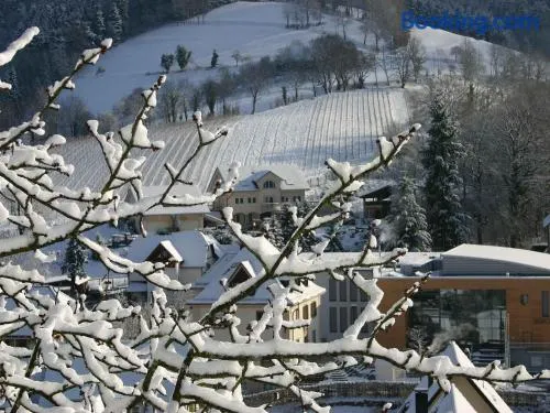 Weingut-Brennerei-Ferienwohnungen Eugen Wissler - Image 1