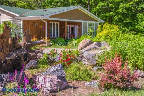 Bear & Butterfly Bed and Breakfast - Image 1