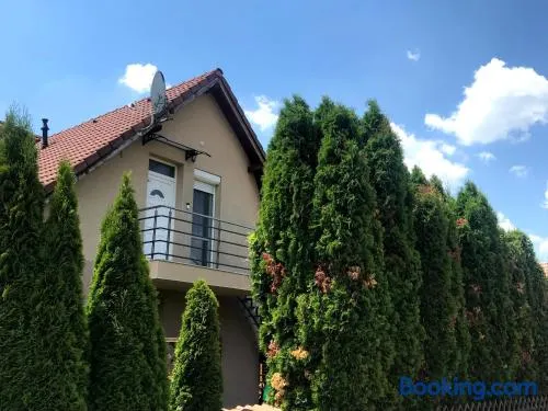 Tulipán Apartman Kápolnásnyék - Image 1