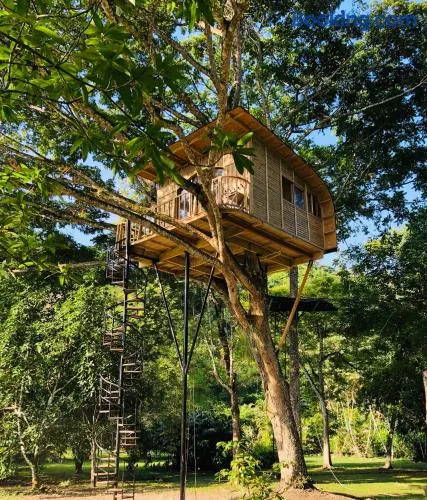 Casa del Árbol Colombia - Image 1
