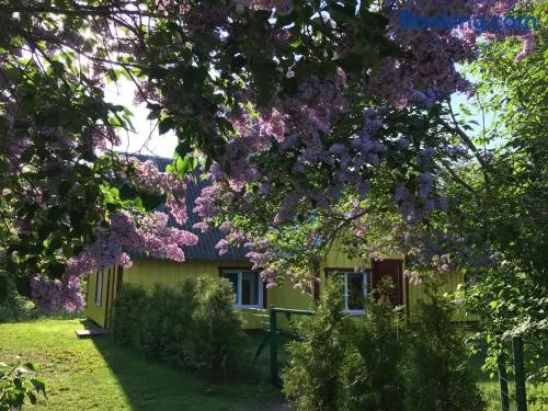 Kihnu Kuraga Homestay - Image 1