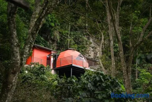 The Dome Boquete - Image 1
