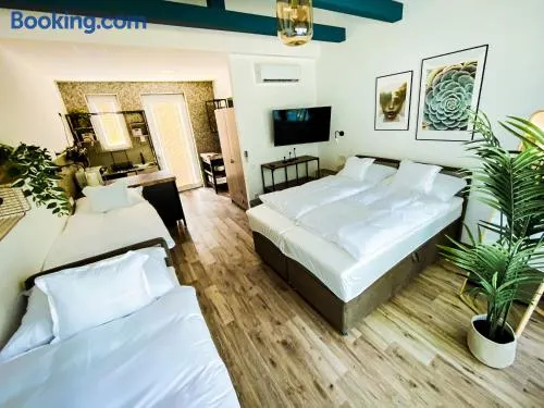 Tisza Camping Apartmanház - Image 1