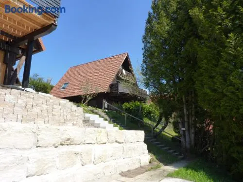 Ferienpark Vorauf Ferienhaus Föhren 11 - Image 1
