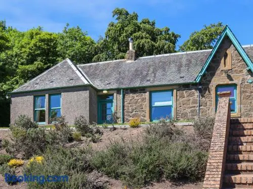Rose Cottage - Uk52178 - Image 1