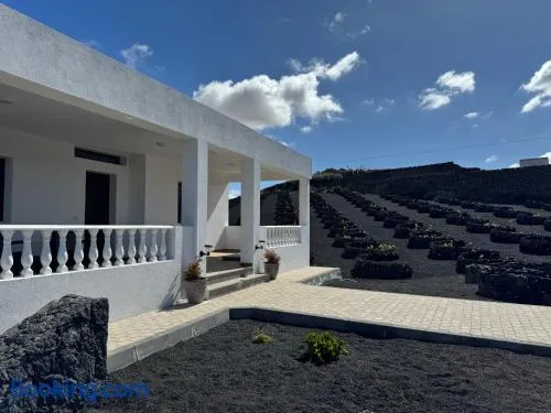 Vineyard House - Image 1