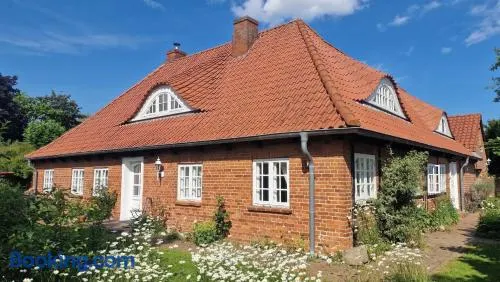Alte Stellmacherei - Ferienwohnung 2 - Image 1
