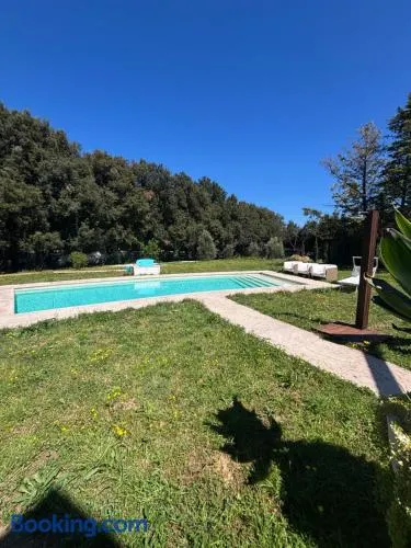 La NaveFoglia - The ShipLeaf - Image 1