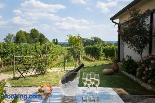 Le Vigne del Gallo - Image 1