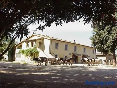 Biobagnolese Agriturismo - Image 1