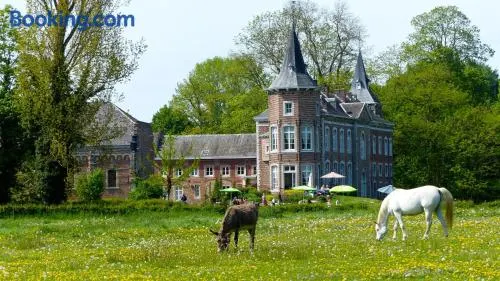 Kasteel Nieuwenhoven - Image 1