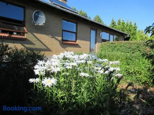 Æbelø-guidens B&B - Image 1