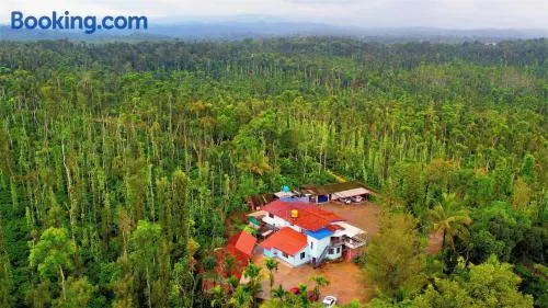 NEW ORGANIC HOME STAY - Image 1