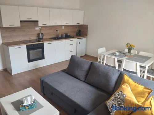 Apartmán Karlovice - Jeseníky - Image 1