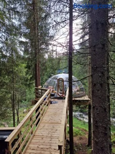 Treetop igloo by the river - Image 1
