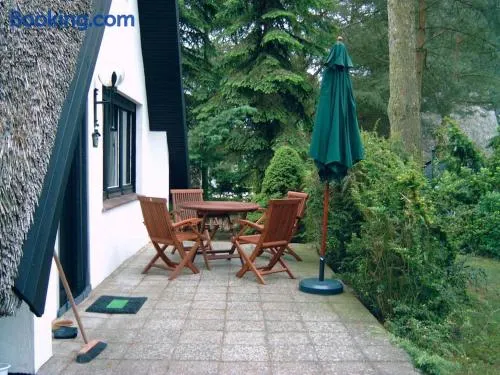 Reetdach-Ferienhaus in Quilitz - Image 1