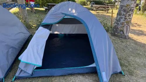 Pamplona Event Campsite Hostel - Image 1