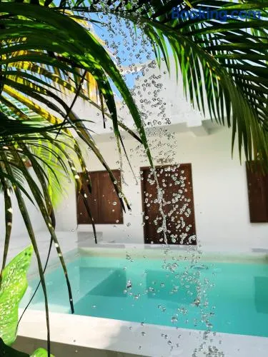 Sri Lanka Surf Villa Domus Graziella - Image 1