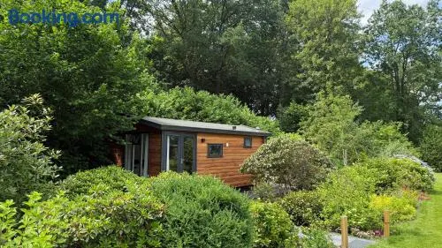 Chalet Kip & Geit incl Sauna & Jacuzzi - Image 1