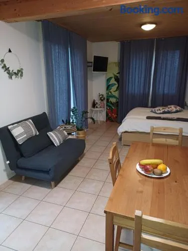 Studio de vacances avec vue sur le lac de Morat - Image 1