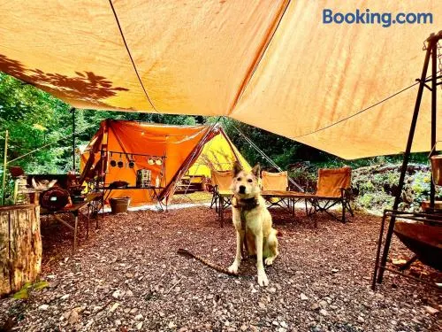 Shirasu-Ojiro FLORA Campsite in the Natural Garden - Vacation STAY 70013v - Image 1