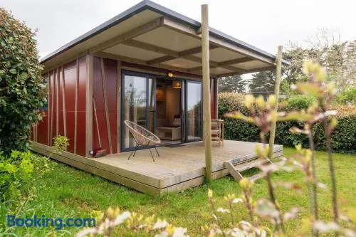 Chalet 20m2 - Sein - Image 1