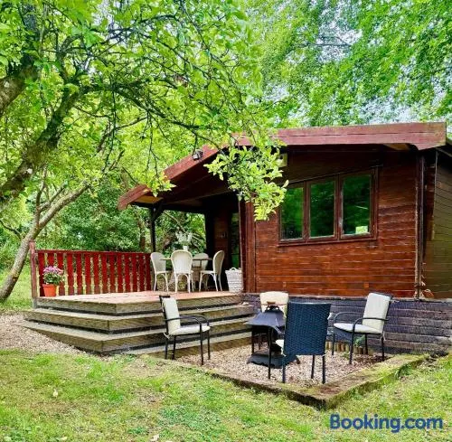 The Cabin at The Oaks - Image 1