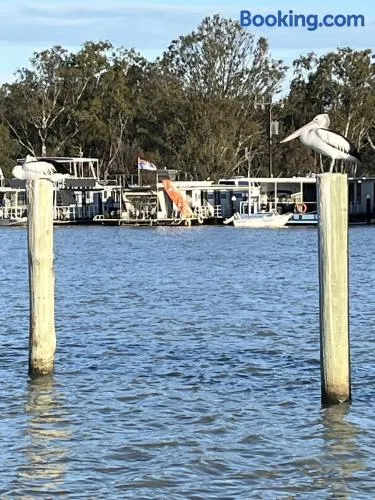 Pelicans Perch - Image 1