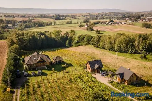 Winnica Nad Źródłem - Domki w winnicy z kominkami i tężniami - Image 1