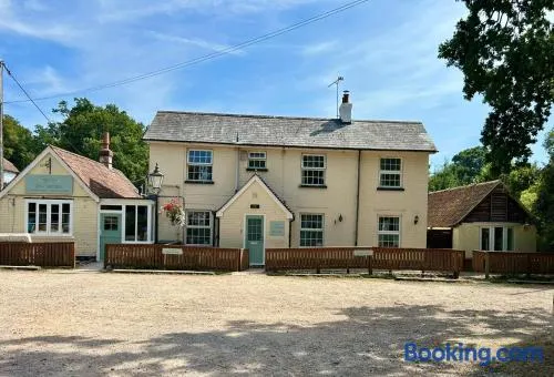The Pigs' Pantry, Burley - Image 1