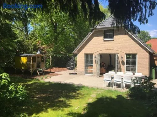Comfortabel vakantiehuis in het bos op de Veluwe - Image 1