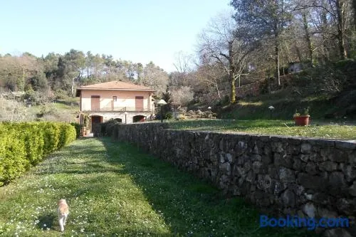 I Lecci - Image 1