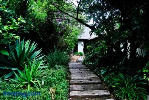 Birch Tree Cottage - Image 1