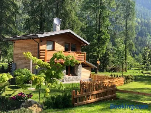 I Larici Camping Lodge - Image 1