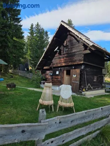 Urige Waldbienenhütte - Image 1