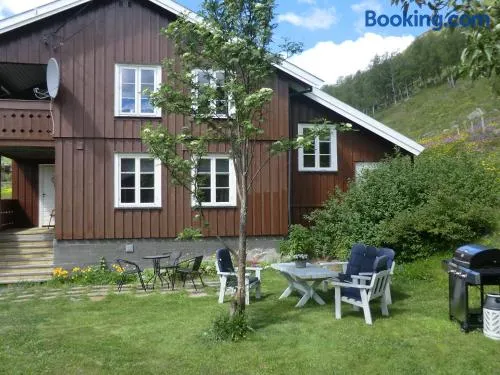 Haukeli Husky Fjellgård - Image 1