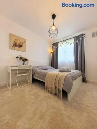A Nice Room in Edinburgh - Image 1