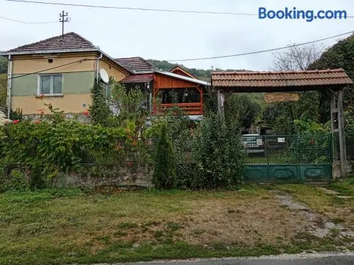 STD Verice Đorđević - Image 1