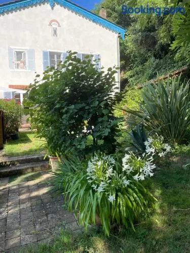 Les Agapanthes - Image 1