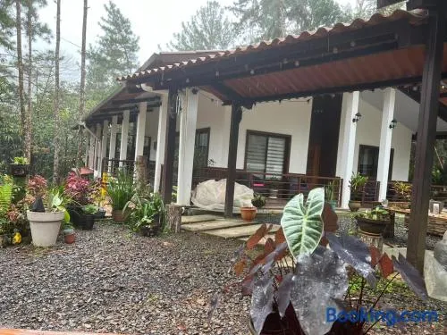 La Casa del rio - Image 1