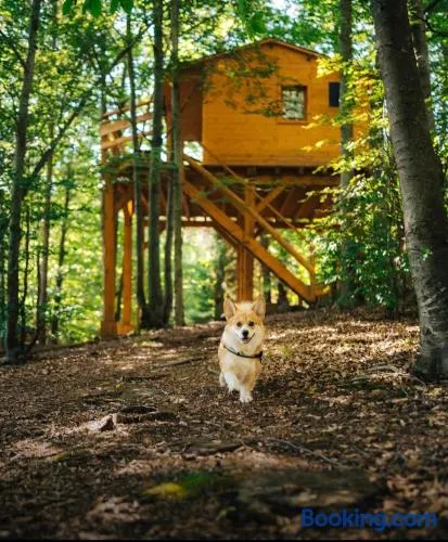Treehouse Vtáčikovo - Image 1