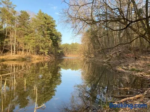 Bungalow im Wald am See - Biberspur - Image 1