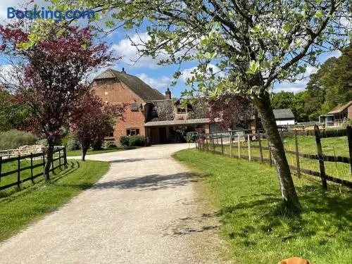 Self Catering Apartment, Jurassic Coast/Dorset - Image 1