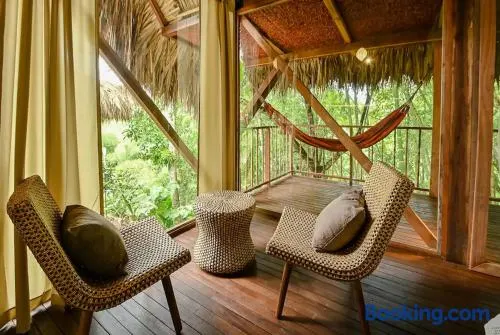 Cabin Nestled in Bamboo Forest - Image 1