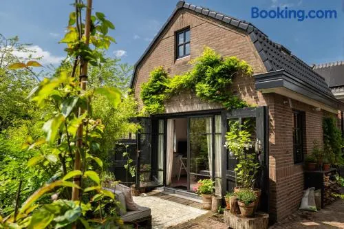 Guesthouse Rotterdam, tinyhouse nearby Kralingen - Image 1